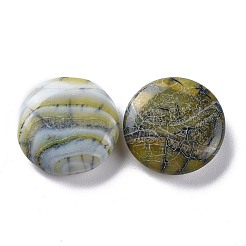 天然ブラジル瑪瑙ビーズ  穴なし/ドリルなし  フラットラウンド  24.6x7.7mm&nbsp;G-H231-17