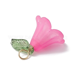 Акриловые подвески PALLOY-TA00145