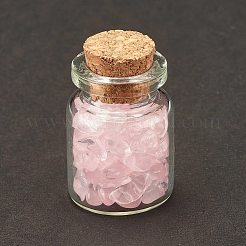 Украшение бутылки желаний прозрачное стекло&nbsp;LS-DJEW-A001-01A-07