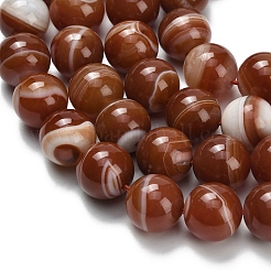 Натуральные полосатые агатовые бусы&nbsp;G-L642-B04-14mm