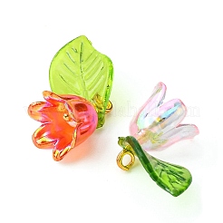 10шт 5 цвета акриловые и пластиковые подвески OACR-YW0001-63