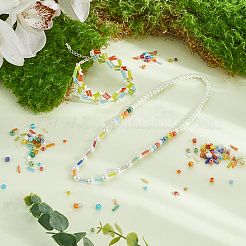 180г 6 стиля стеклянных бусин наборы&nbsp;SEED-SC0001-50