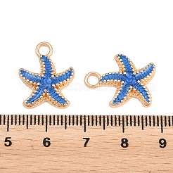 Emaille Anhänger Legierung&nbsp;PALLOY-F224-10G-02