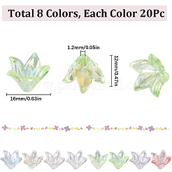 160 шт. двухцветные прозрачные акриловые колпачки для бусин OACR-SC0001-29