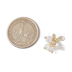 ガラスシードビーズの蝶のペンダント  304ステンレススチールオープン丸カンとガラスビーズ付き  透明  17x16.5x6mm  穴：2.5mm&nbsp;PALLOY-MZ00562-04