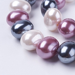 Shell Perlen Stränge, Oval, Farbig, 12~13x15~16x12 mm, Bohrung: 1 mm, ca. 30 Stk. / Strang, 15.5 Zoll