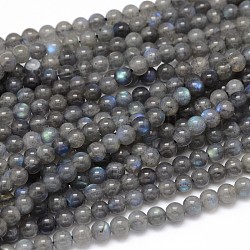 Chapelets de perles rondes en labradorite naturelle, AA grade, 6mm, Trou: 1mm, Environ 63 pcs/chapelet, 15.5 pouce