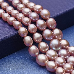 Perlas naturales cultivadas de agua dulce perlas graduadas, aaa grado, patata, salmón oscuro, 5~11.5x4~9mm, agujero: 0.5 mm, aproximamente 61~62 pcs / cadena, 15.94~16.14 pulgada (40.5~41 cm)