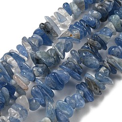 Natural Kyanite Chip Beads Strands, 5~13x4~11x1.5~8mm, Hole: 0.6mm, 31.65''(80.4cm)