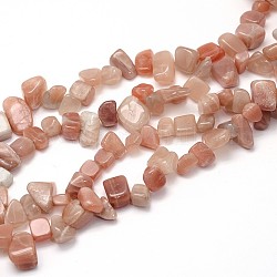Natural Sunstone Beads Strands, Nuggets, 7~12x8~16mm, Hole: 1mm, about 15.7 inch