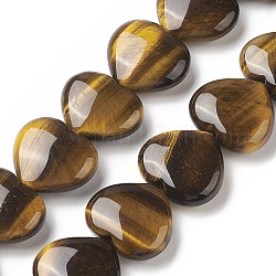 Chapelets de perles d'œil de tigre naturel, cœur, 24~26x28~28.5x9~12mm, Trou: 1.5mm, Environ 15 pcs/chapelet, 15.04~15.55 pouce (38.2~39.5 cm)