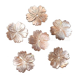 Granos naturales de la concha del mar, Flor de sakura, 23.5x23.5x1mm, agujero: 1.8 mm