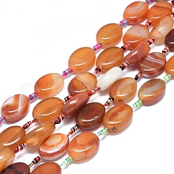 Natural Banded Agate/Striped Agate Beads Strands, Dyed & Heated, Oval, Chocolate, 23~26x16~19x5~10mm, Hole: 1.6mm, about 12~13pcs/Strand, 15.4 inch(39cm)