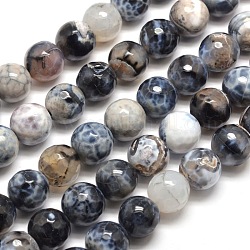 Dyed Natural Agate Faceted Round Beads Strands, Light Grey, 12mm, Hole: 1mm, about 32pcs/strand, 14.5 inch~15 inch