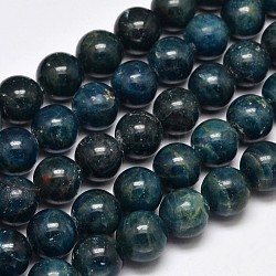 Grade a rondes apatite naturelle brins de perles, 14mm, Trou: 1mm, Environ 28 pcs/chapelet, 15.5 pouce