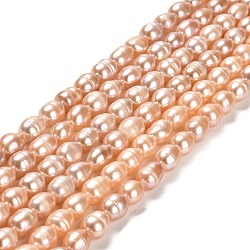 Fili di perle di perle d'acqua dolce coltivate naturali, riso, grado aa, peachpuff, 7~8x6~6.5mm, Foro: 0.7 mm, circa 45pcs/filo, 14.37'' (36.5 cm)