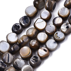 Eau douce naturelle de coquillage perles brins, teinte, pépites, bleu ardoise, 7~9x7~8x2.5~6mm, Trou: 0.8mm, Environ 48~50 pcs/chapelet, 14.96~15.74 pouce (38~40 cm)