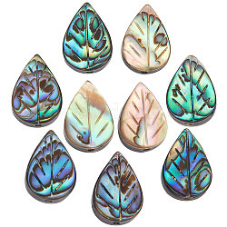 Beebeecraft 10Pcs/Box Abalone Shell Beads Leaf Shape Paua Shell Beads Colorful Drop Charms for Earring Necklace DIY Jewelry Making, 12.5x8.5x3.5mm