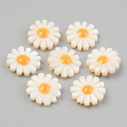 Shell perle naturali di acqua dolce, fiore, colore conchiglia, 12.5x4.5mm, Foro: 1 mm