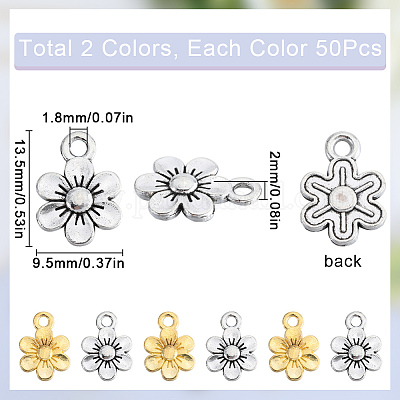 100 шт. 2 цвета подвески из сплава в тибетском стиле FIND-SC0010-74-1