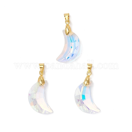 Цвет AB покрытием стеклянные подвески PALLOY-JF04595-01-1