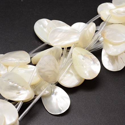 Chapelets de perles de coquille de trochid / trochus coquille SSHEL-K009-12-1