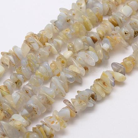 Natural Blue Chalcedony Beads Strands G-G689-11-1