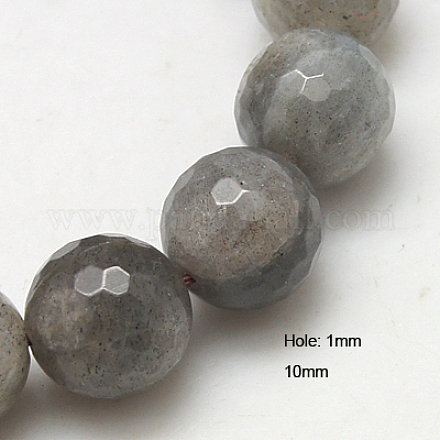 Natural Labradorite Beads Strands G-G213-10mm-03-1