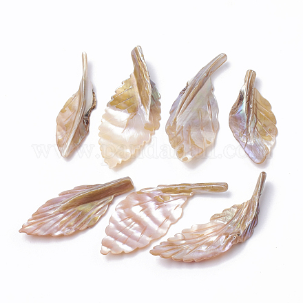 Perles de coquillages naturels d'eau douce SHEL-Q019-009-1
