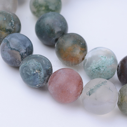 Natural Indian Agate Beads Strands G-Q462-10mm-08-1