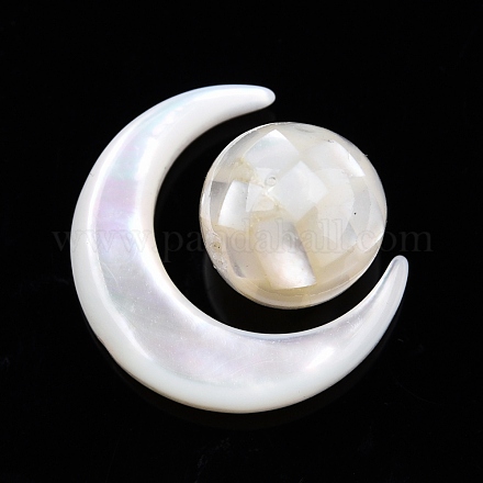 Ensemble de perles de coquillage blanc naturel SSHEL-N032-51-B01-1