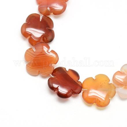 Teints chapelets de perles en agate rouge naturel G-T003-16mm-10-1