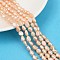 Natural Cultured Freshwater Pearl Beads Strands, Two Sides Polished, Grade 2A, PeachPuff, 6~7mm, Hole: 0.6mm, about 44~45pcs/strand, 13.39''~13.58''(34~34.5cm)