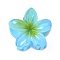 Plastic Claw Hair Clips, Hair Accessories for Women & Girls, Flower, Turquoise, 40mm