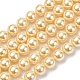 Гальванические оболочки жемчужные бусы пряди BSHE-G041-6mm-01-1