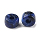 Perles de jaspe sésame naturel/jaspe kiwi imitation lapis-lazuli G-G0003-A07-2
