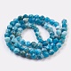 Chapelets de perles en apatite naturelle G-F568-025-5mm-2