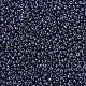 Perles rocailles miyuki rondes X-SEED-G007-RR0171-3