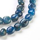 Natural Apatite Beads Strands X-G-F575-07-2