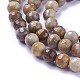 Chapelets de perles en bois pétrifié naturel G-P430-16-B-3