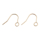 304 Stainless Steel Earring Hooks STAS-B047-31RG-1