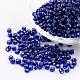 6/0 Round Silver Lined Round Hole Glass Seed Beads X-SEED-A005-4mm-28-1