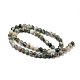 Natural Tree Agate Round Gemstone Beads Strands G-R255-6mm-5