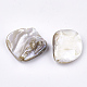 Perles de coquille d'eau douce X-SSHEL-T005-11-3