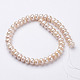 Natural Cultured Freshwater Pearl Beads Strands PEAR-P002-50-2