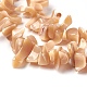 Shell perle d'acqua dolce fili BSHE-O017-11-3
