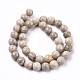 Natural Maifanite/Maifan Stone Beads Strands G-I187-10mm-01-6