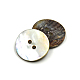 Abalone-Muschel / Paua-Muschel&nbsp;X-BSHE-I011-04A-2