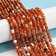 Dyed Natural Fire Crackle Agate Beads Strands G-G007-01E-2