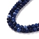 Natural Sodalite Beads Strands G-K315-B09-3
